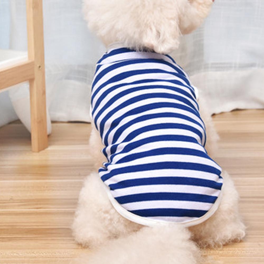 Warm Cat Clothes Autumn Winter Pet Clothing For Small Cats Dogs Cotton Cat Costumes Soft Kitten Kitty Coat Jacket Puppy Outfit