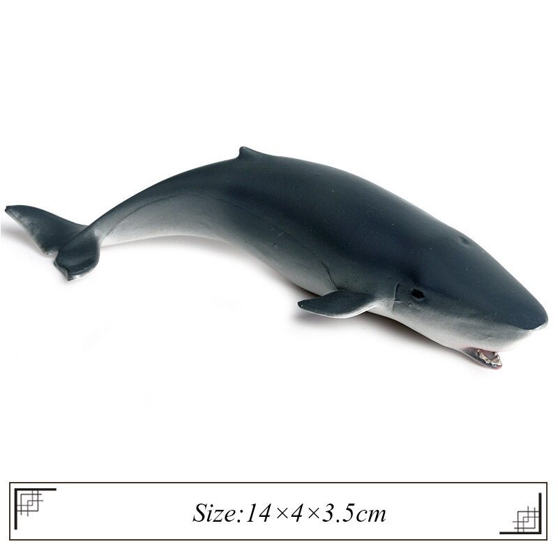 freundlicher Simulation Ozean Meer Ebene Modell Spielzeug Großartig Weiß Hai Wal Hai Modell Pädagogisches Spielzeug Ebene Hai Spielzeug jungen: I-1Stck
