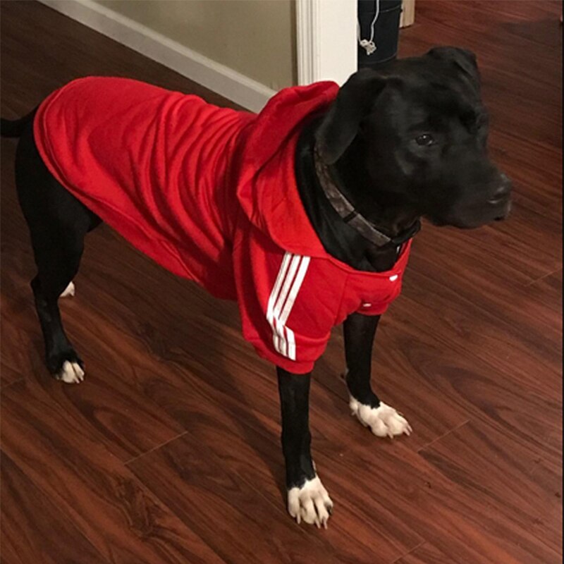 Warm Large Dog Clothes Winter hoodie big dog sweater pet coat Jacket Clothing for Golden Retriever Samoyed Labrador Husky Dogs