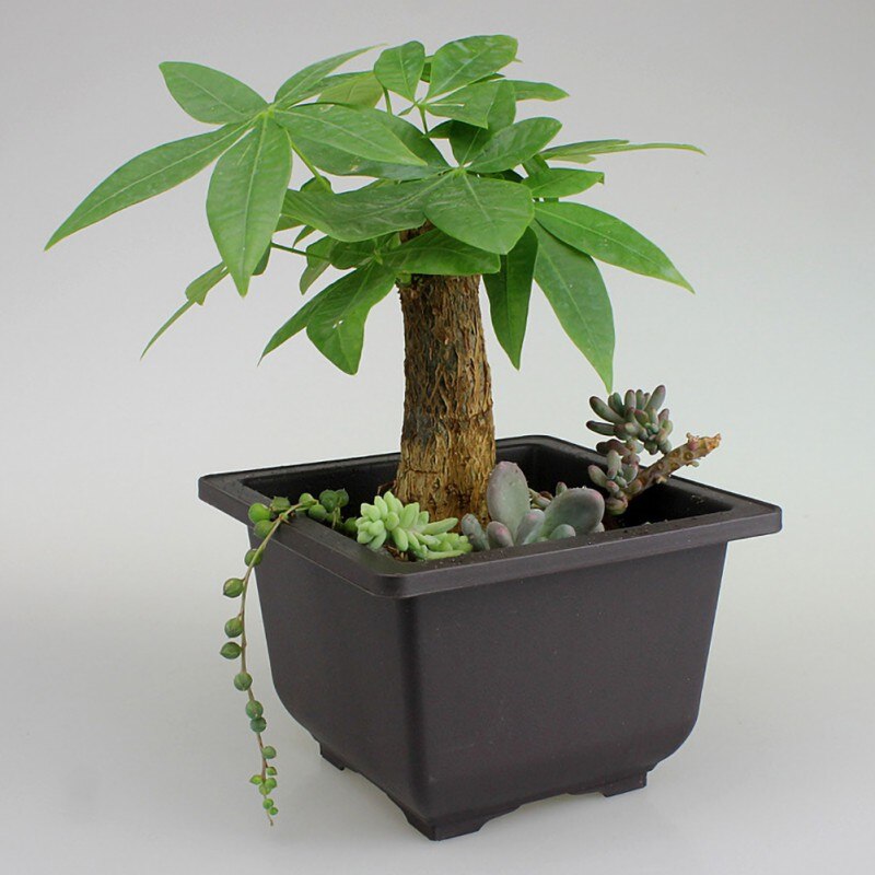 Hoogwaardige Tuin Potten Plantenbakken Pot Imitatie Balkon Vierkante Potten Bloem Bonsai Kom Planter Rechthoek Bonsai