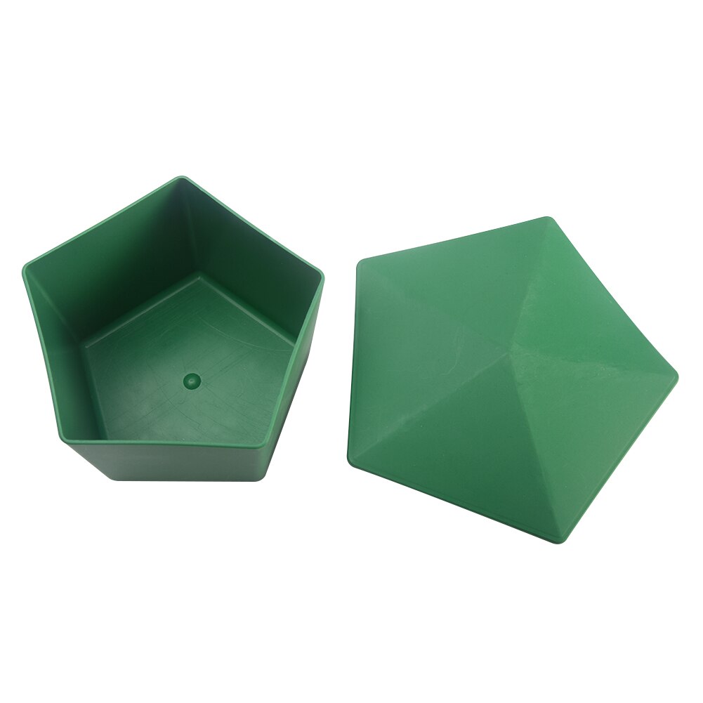 Box Snail Trap Slug Farm Protector Reptile Leech Eco-friendly House Clear Planarian Garden Tool Cage Plastic Catcher