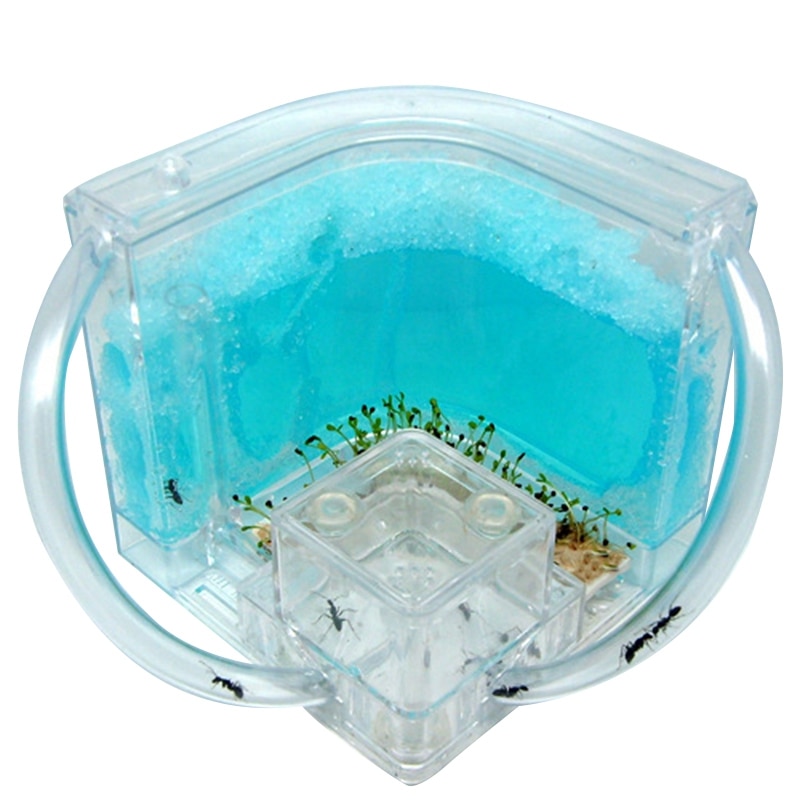 DIY Moisture with Feeding Area Ant Nest Ant Farm Ant Nests Villa Pet for House Ants Ant Workshop Ant Nest Science Educational To: Default Title