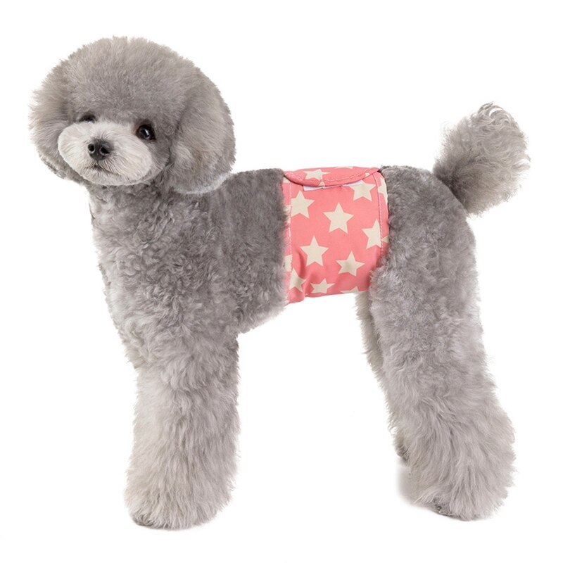 1 pièces couche pour chien animal de compagnie bande de ventre imperméable à l'eau urinaire enveloppement couche réutilisable physiologique pantalon moyen grand mâle chien soins infirmiers couche: Pink 1 / S