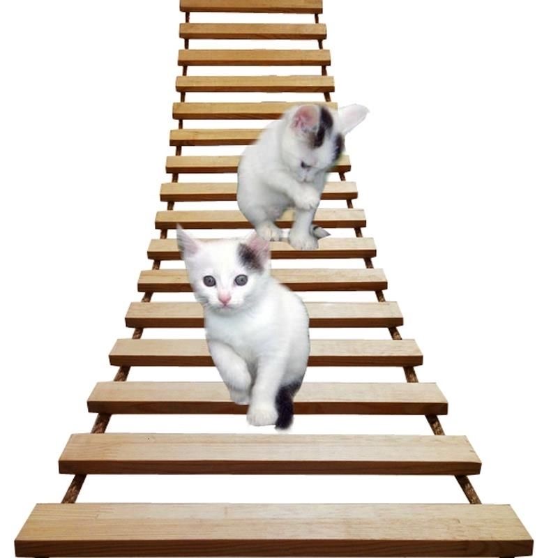 Juguetes de pared para actividades, rascador de Sisal de madera para gatos, muebles escaladores, puente para gatos, escalones de cuerda, escalera para gatitos, poste para pared