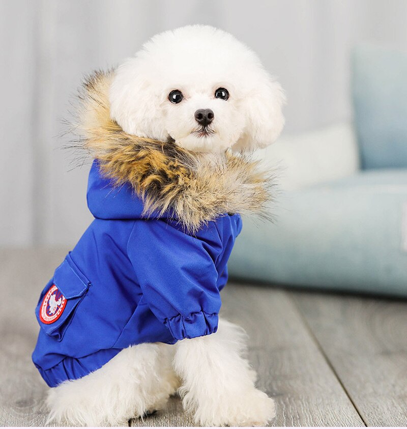 Pet Dog Warm Winter Coat Chihuahua Pug Dog Clothes For Small Medium Dogs Schnauzer Pet Puppy Coat Down Jacket Clothing