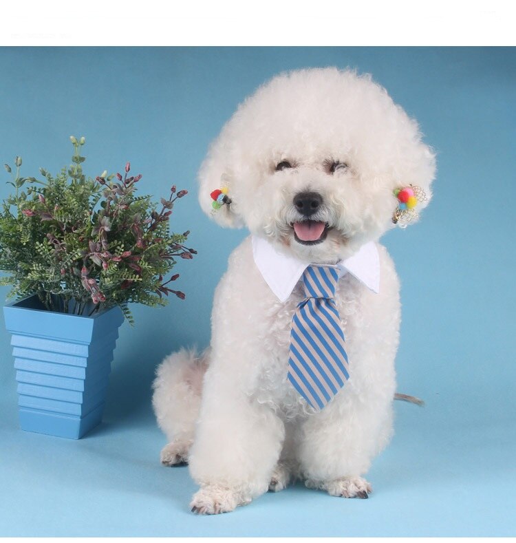 Kat Kraag Met Stropdas Hond Kostuum Puppy Kitten Speelgoed Tie Mode Dierbenodigdheden Voor Katten Honden Leuke Party Dress Accessoires