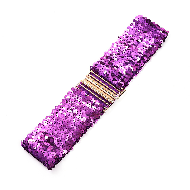 Cinto feminino de lantejoulas, elástico e brilhante, estilo corset, com fivela de metal, alça decorativa para corset, acessório para vestido de festa.: Cinza escuro
