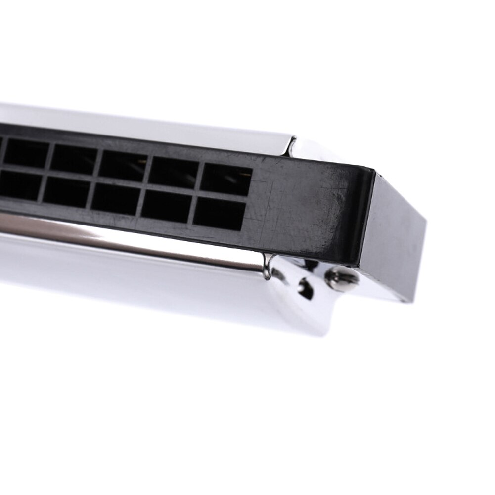 Tremolo Harmonica G Key for Harmonica with 24 Double Holes 48 Tabs Cleaning Cloth Musical instrument Accessories