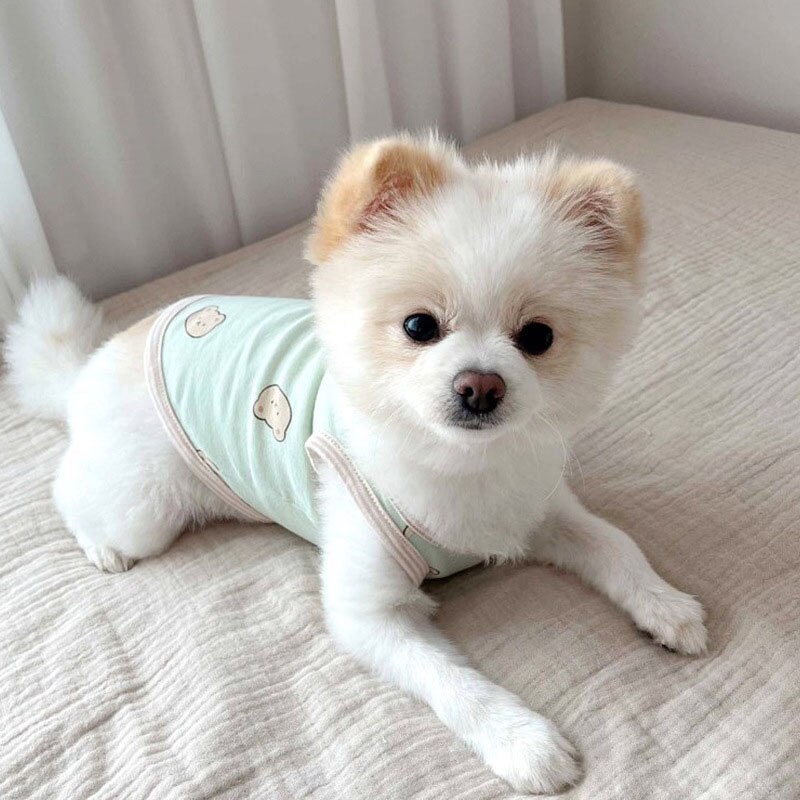 Cute Pet Dog Clothes Summer Cartoon Bear Dogs Vest Cotton For Puppy Small Medium Thin Clothing French Bulldog Ropa Perro Pug