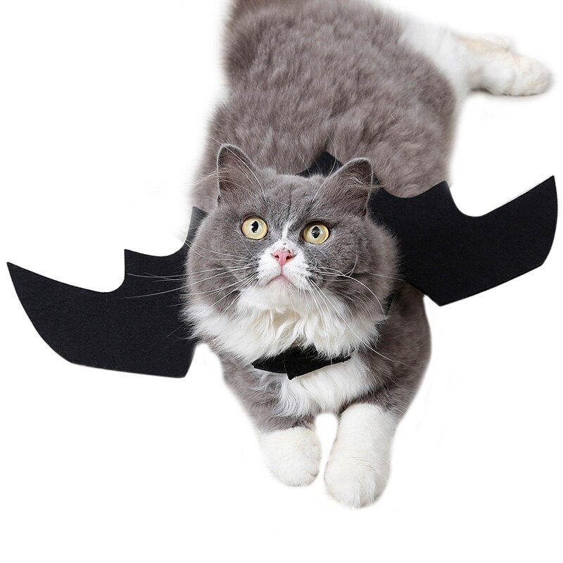 gatto costume di Halloween di Alimentazione Nero Vestito Carino Ali di Pipistrello Puntelli canna Cucciolo Gattino di Stoffa Del Capo del Vestito Operato animale vestire su accessorio