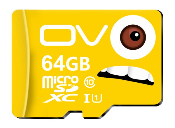 OV TF carte microsd 16GB 32GB 64GB 128GB carte mémoire Flash SDHC C10 80 M/s 100% Original authentique pour la conduite enregistreur téléphone portable: 64G