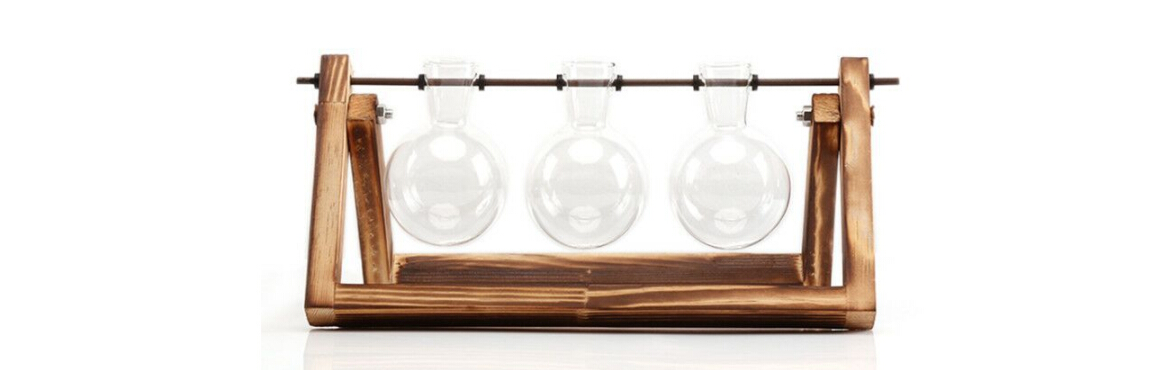soporte de madera vidrio terrario contenedor hidropónico maceta para flor florero de mesa DIY Home Office decoración de boda: 3