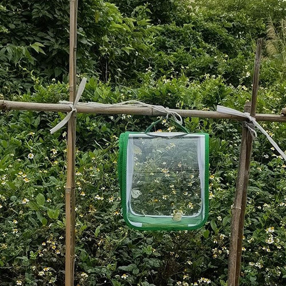 Transparent Wear-resistant Pvc Portable Folding Insect Cage Cage Cage Insect Breeding Animal Cage Small Y9e5