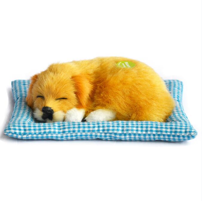 Simulation animal chat lit chien animal de compagnie d'anniversaire Simulation jouets pour enfants endormi chat chien électronique animal de compagnie: jin mao gou BD