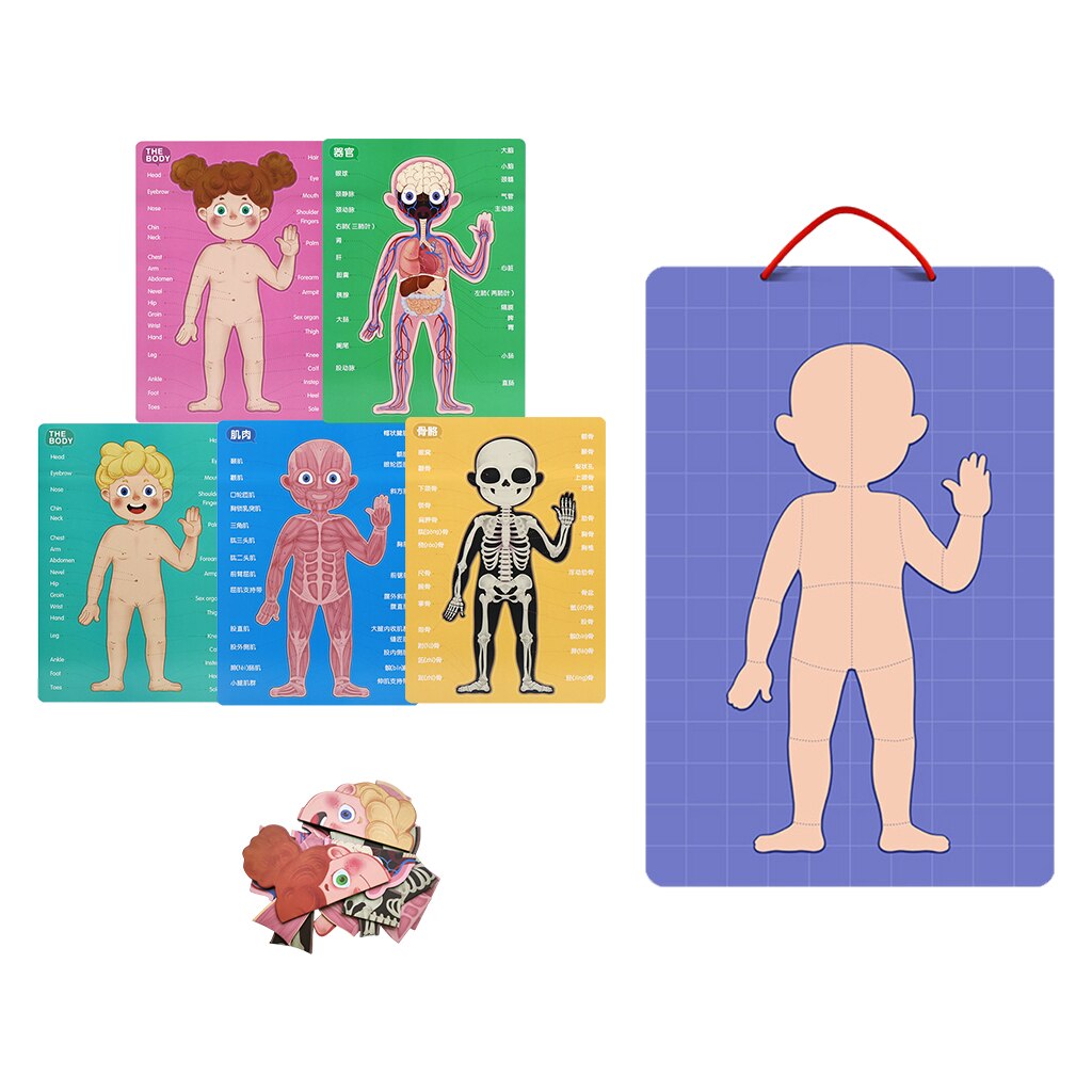 Wooden My Body Puzzle for Toddlers &amp; Kids - 89 Piece Kids Anatomy Play Set, Magnetic Pieces