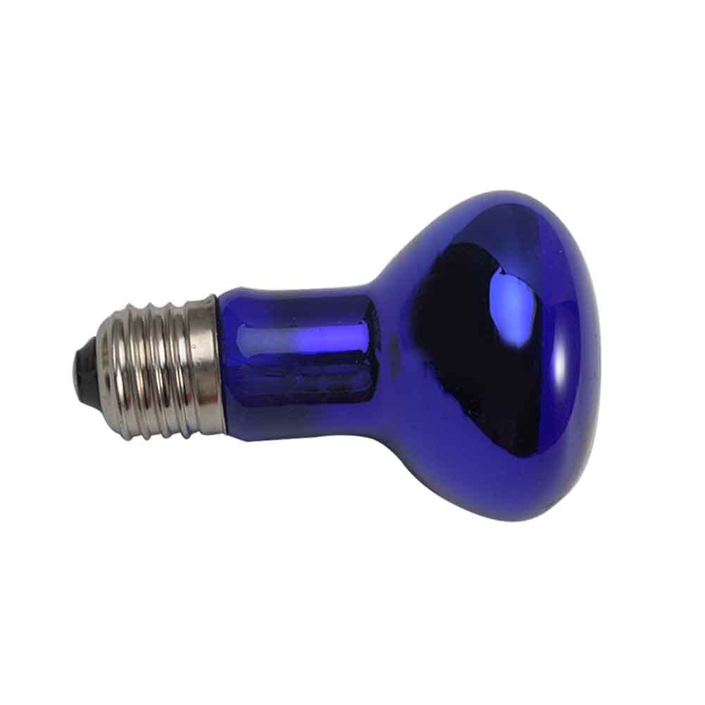 25/50/75/100W Turtle Basking Thermal Spotlight Pet Heating Reptile Heat Bulb Sun Lamp Night Light Aquarium Warm Chicken Warmer: Blue 100W