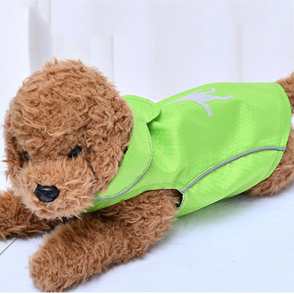 Veste imperméable pour animaux de compagnie, manteau de pluie, pour chien, chat, chiot