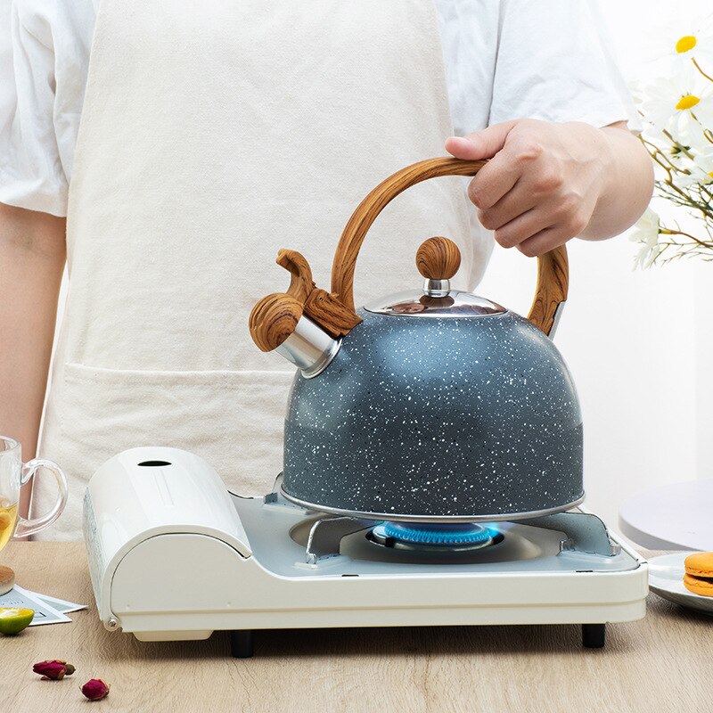 Bouilloire à Induction 3L En Acier Inoxydable Avec Sifflet - Poignée Bois Pour Camping Et Cuisine
