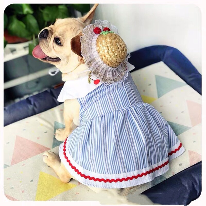 Franse Bulldog Rok Jurk Hond Kat Shirt Zomer Kleding Voor Kleine Middelgrote Honden Vest Puppy Pug Teddy Konijn Kleding ZZC13