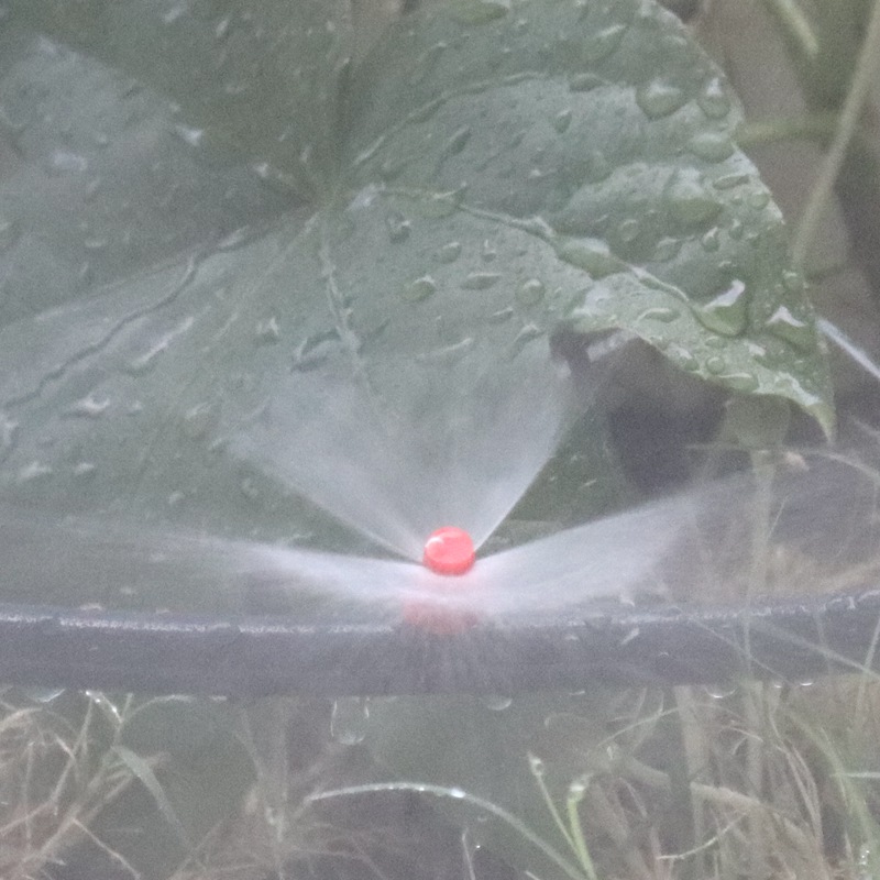 Gewächshaus Bewässerung Düse Garten Bewässerung Zerstäubung Sprinkler Beschlagen Emitter Brechenden Drehbare Düse