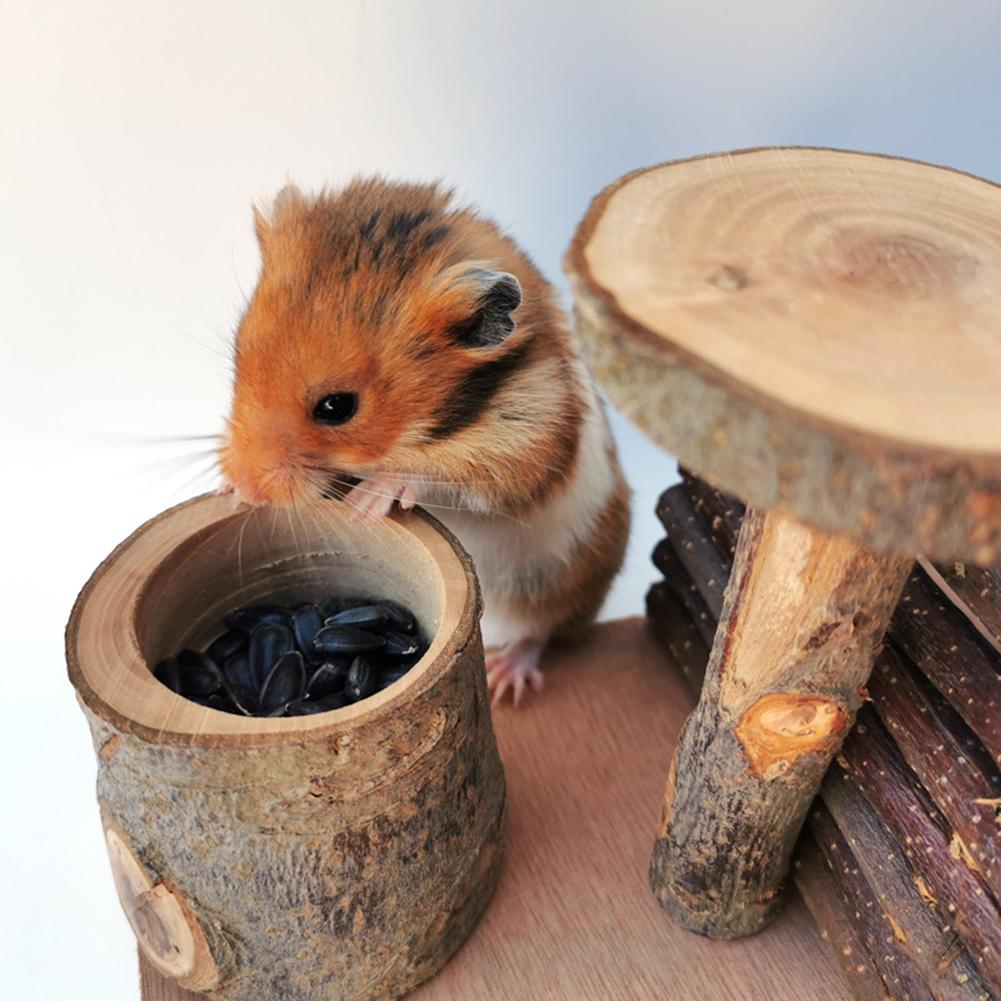 Petit Hamster pour animaux de compagnie jouets échelle pomme bois Hamster escalier étape Fitness exercice jouet hamac aire de jeux petit animal domestique mangeoire