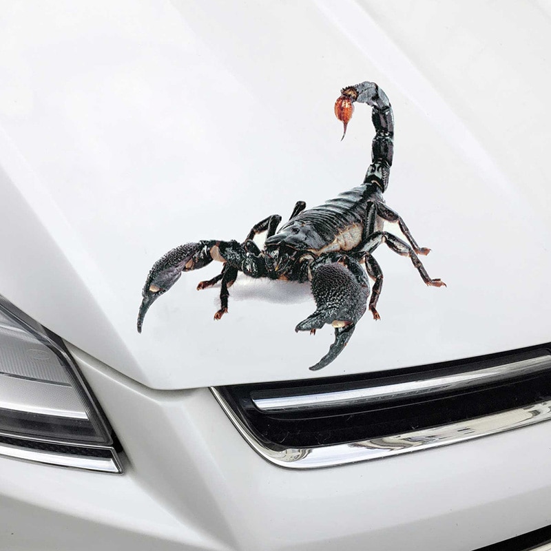 3D PVC Car Sticker Lizard Scorpion Spider Car Body Window Sticker Decal F-Best