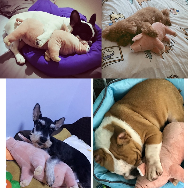 Dog Bite Toy Pig Shape Pet Toy Accompany Sleeping Pigs Toys Warm Soft Plush Cotton Sleeping Partner for Puppy Dogs Bulldog Teddy