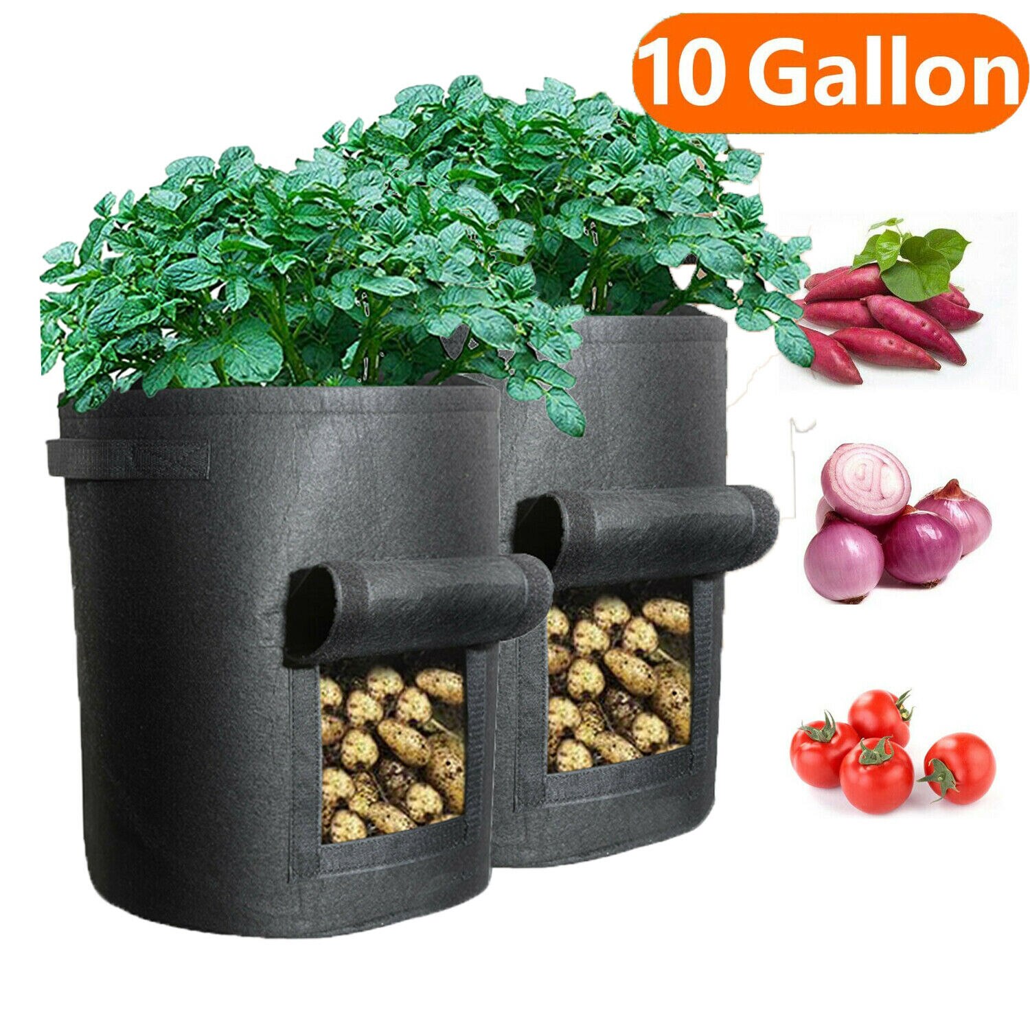 Plant Grow Bags home garden Potato pot greenhouse Vegetable Growing Bags Moisturizing jardin Vertical Garden Bag tools droship: 2pcs black  (10gal)