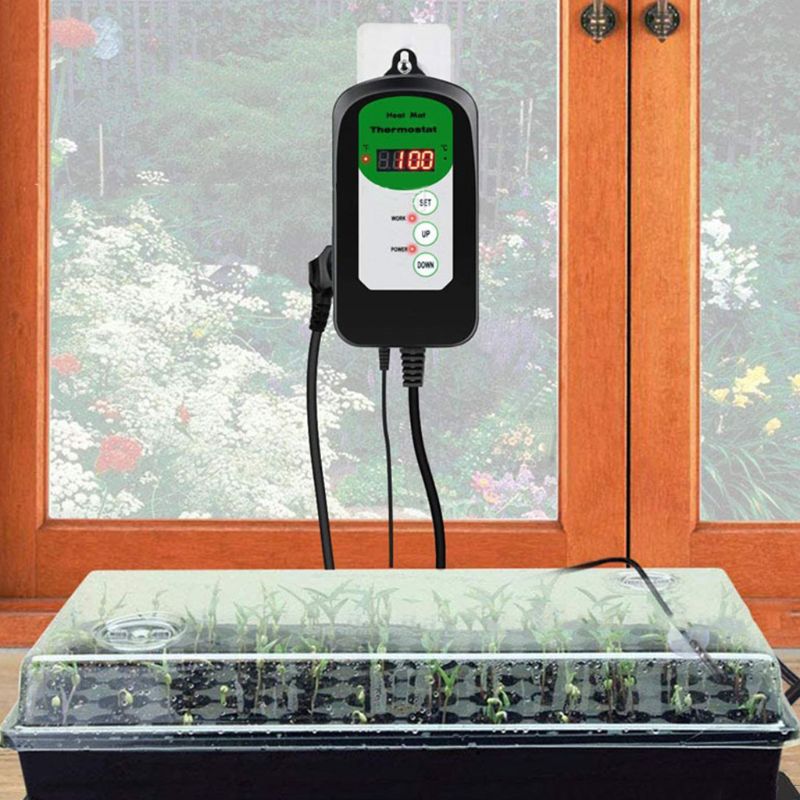 120V US/UK/EU Plug Digital Thermostat Day Night Temperature Control Sensor Regulator for Terrarium Heating Outlet Brooder C42