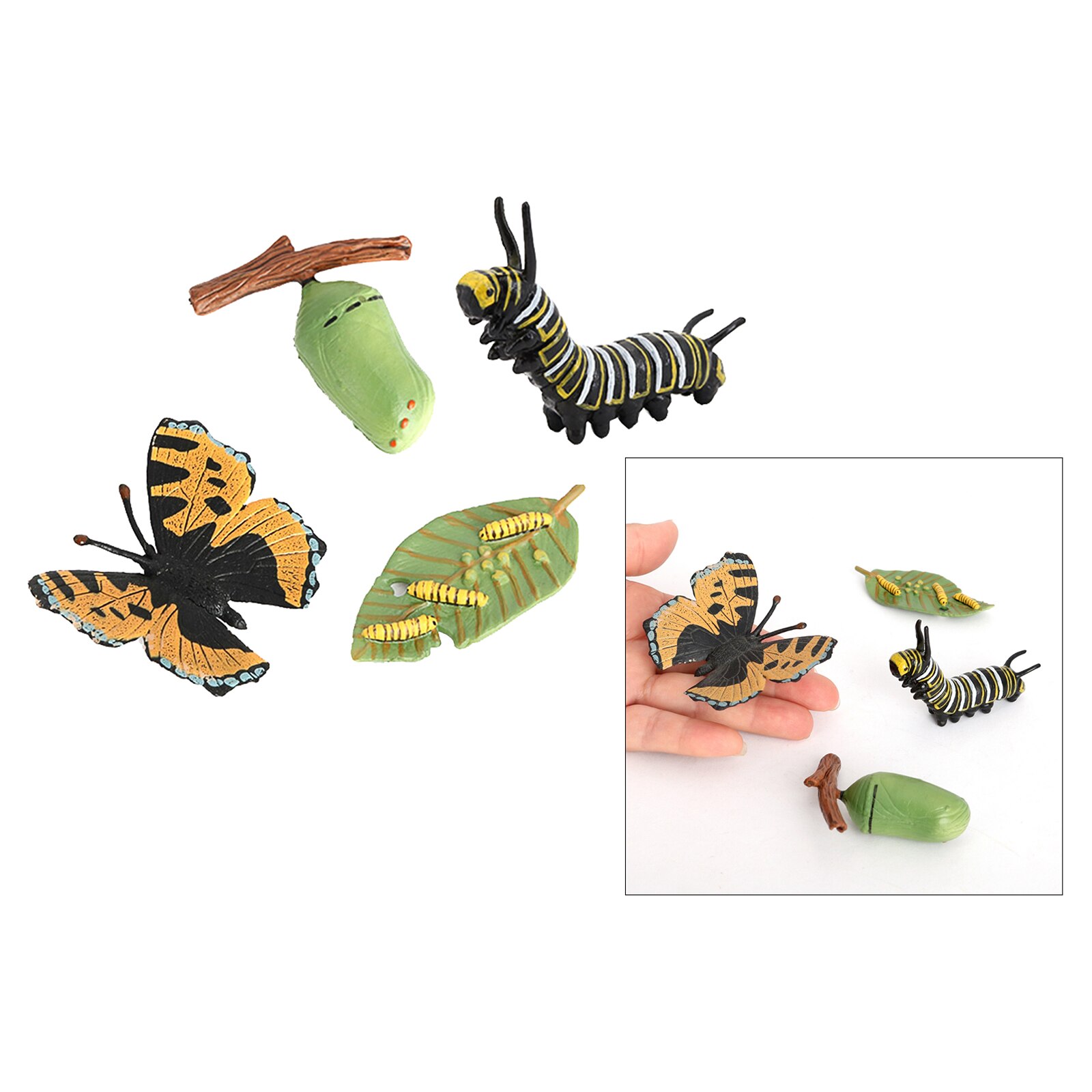 4 Piece Life Cycle Figures, Insects Plastic Butterfly Toy Figure - Authentic Hand Painted Model