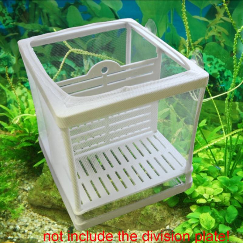 Broederij Aquarium Fokker Incubator Netto Breeding Fry Frame Isolatie Box Nuttig