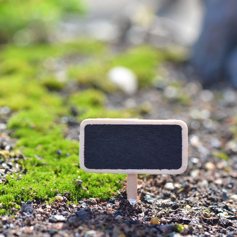 20 Uds. Pizarra de madera de Mini, marcadores de plantas, letreros creativos, etiquetas de flores y plantas de jardín, herramientas de decoración de jardín