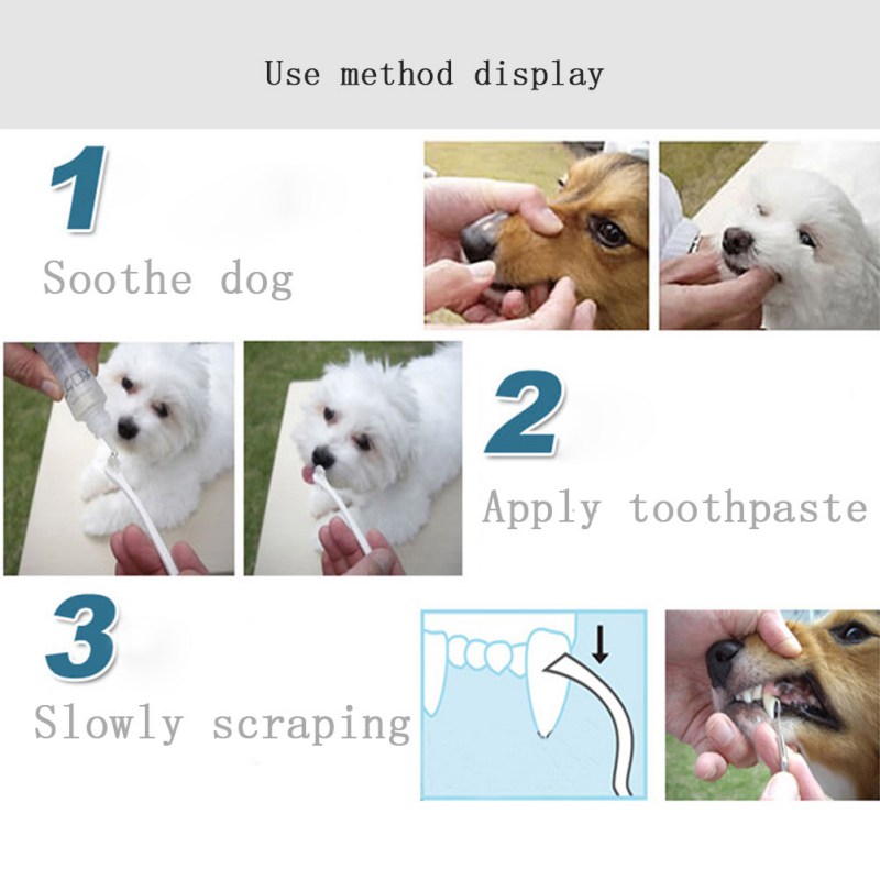 Hunde katte tænder rengøringsmiddel rustfrit stål dobbelt ende tandsten fjernelse værktøj tand scaler