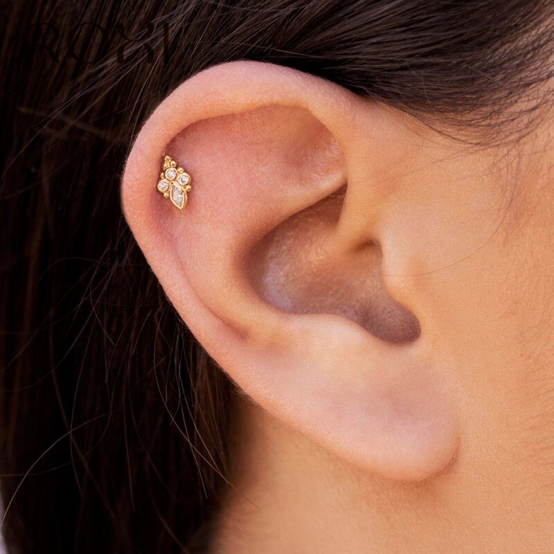ROXI 925 Sterling Silber Tier Hund Katze Paw Stud Ohrringe für Frauen Piercing Ohr Schmuck Zirkonia Ohrringe Koreanische Brincos