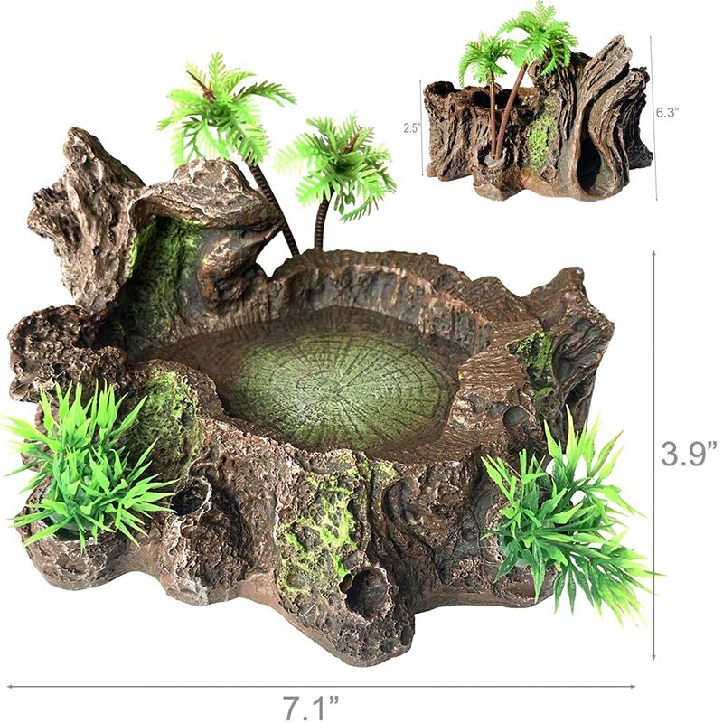 3er Set Künstliche Kaktuspflanzen Für Terrarium – Lebensecht, Ungiftig, Für Schildkröten & Eidechsen 3er Set Künstliche Kaktuspflanzen Für Terrarium – Lebensecht, Ungiftig, Für Schildkröten & Eidechsen