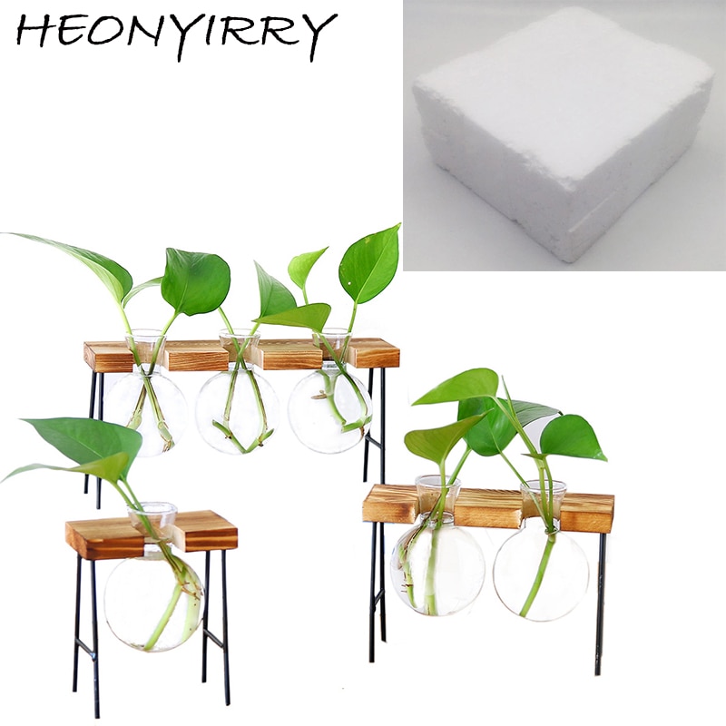 glass-bottle-vase-hydroponic-plant-transparent-vas-vicedeal