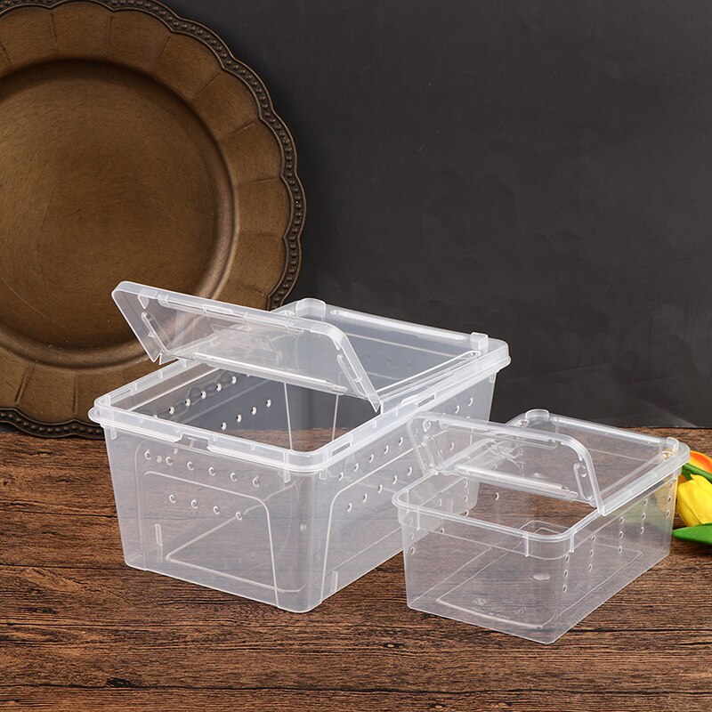 Reptile Tank Insect Spiders Tortoise Lizard Acrylic Transparent Breeding Box Vivarium Lid Reptile Pet Product Terrarium