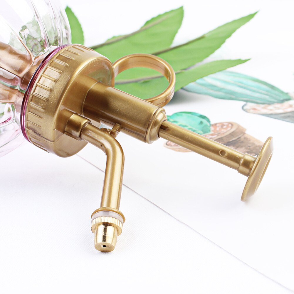 Vintage spuitfles, drukspuitfles, tuinplant, bloem, waternevelfles, glazen gieter, decoratief voor thuis