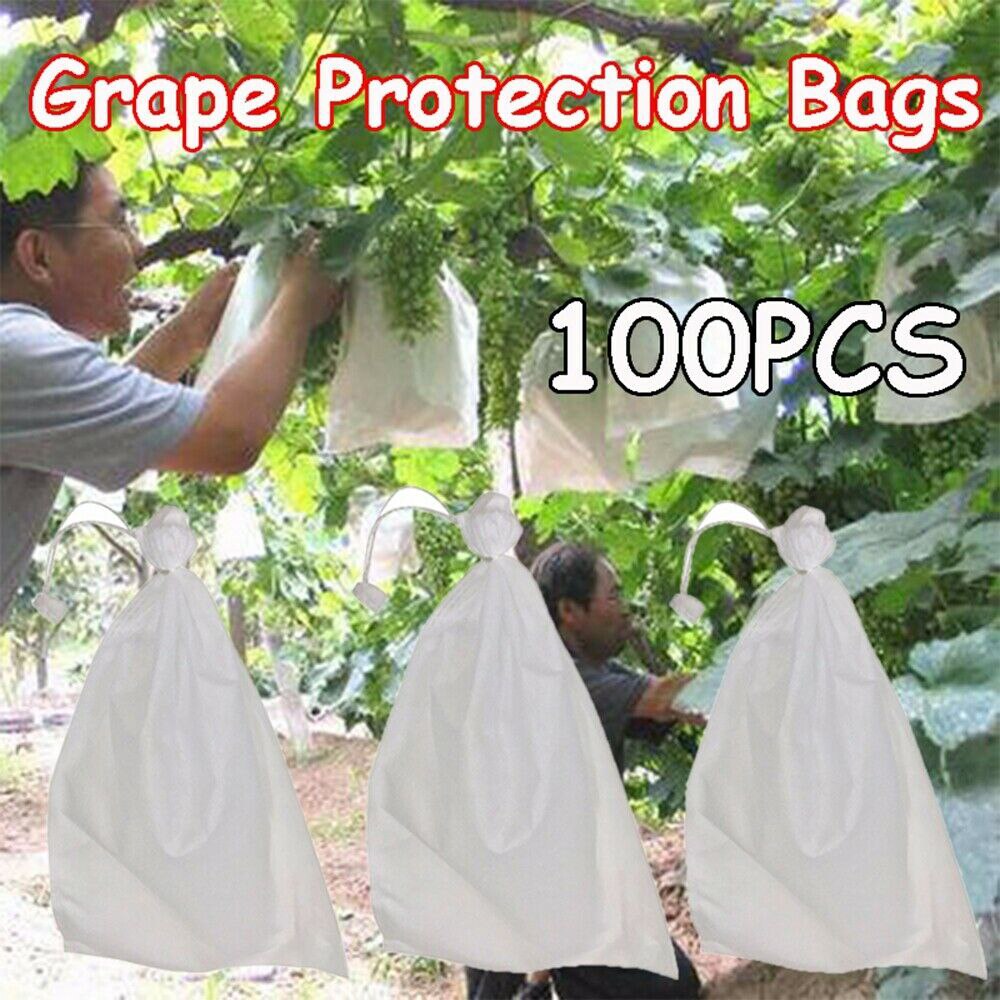 100 Stuks Fruit Groente Druif Bescherming Zakken Druiven Tegen Insect Bag Niet-geweven Stof