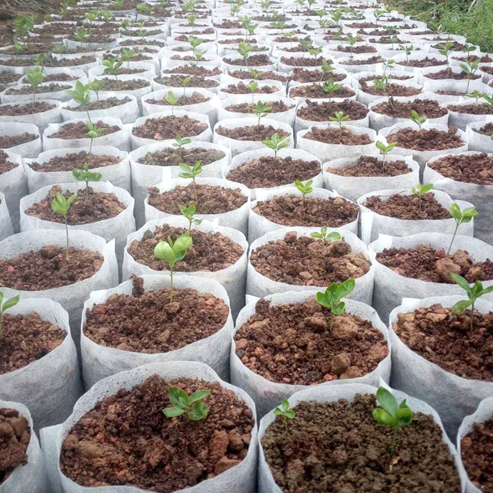 100pcs Planting Bags Nursery Bags Seedling Pots Aeration Biodegradable Fabric Eco Friendly Non Woven Cultivate Pots 18Sizes