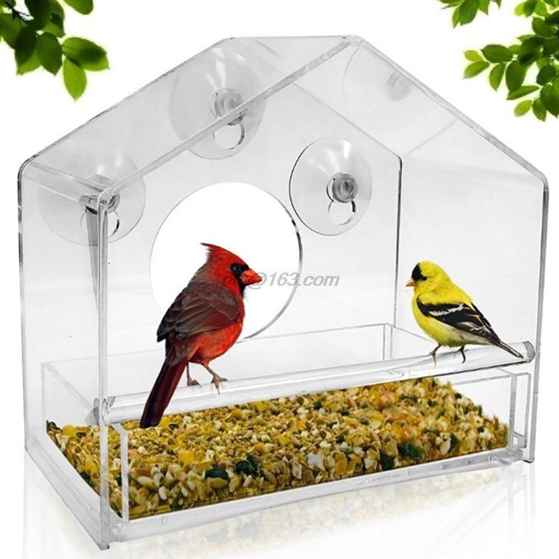 Window Bird Feeder - Refillable Sliding Tray - Weather Proof - Snow and Squirrel Resistant - Drains Rain Water: C