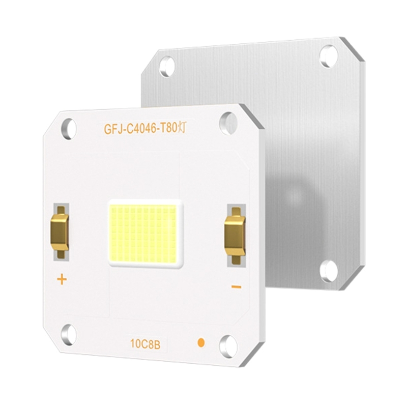 Projectoren Schijnwerpers Geïntegreerde LED LED-lamp 100W High Power LED-diodes Spotlamp Huishoudelijke lamp