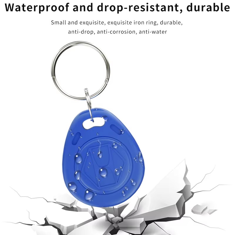 Tarjeta de Control de acceso RFID de 125KHz, llavero EM4100, Chip de solo lectura, etiqueta de identificación, tarjeta de proximidad para Control de acceso, tiempo de asistencia, 10 Uds.
