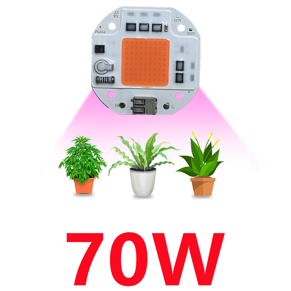 Chip de luz LED COB de espectro completo AC 220V 10W 20W 30W 50W-100W sin necesidad de controlador para el crecimiento de plántulas de flores iluminación de plantas: Color blanco cálido / 20 W