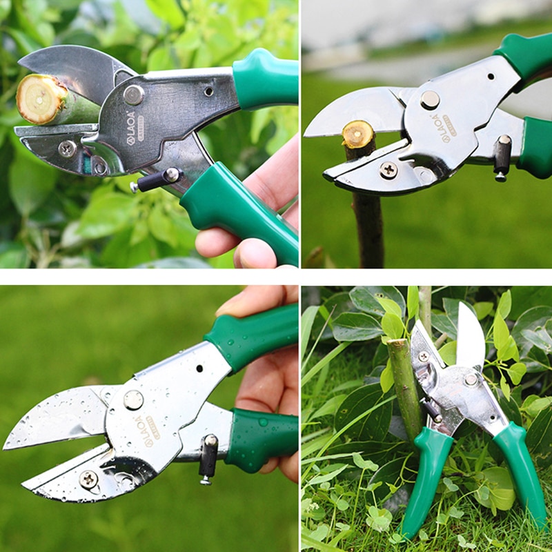 LAOA-tijeras de podar SK5, 8 pulgadas, para jardinería, recoger la fruta, hogar y jardín