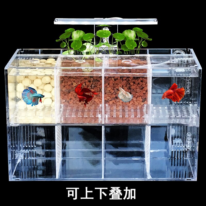 Betta Fish Tank Guppies Breeding Hatching Isolation Box Acrylic Special Group Row Cylinder Live Desktop Ecological Creativity