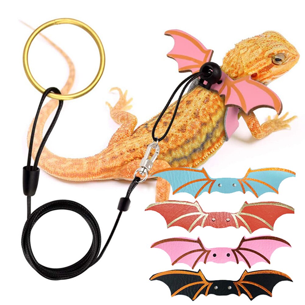 3pz corda di trazione in pelle lucertola regolabile con ali rettile guinzaglio drago barbuto imbracatura anti-morso guinzaglio forniture per animali domestici