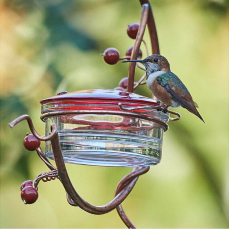 Courtyard Hanging Bird Feeder Hummingbird Feeder Metal Bracket Bird Feeder Bird Cage Pet Accessories