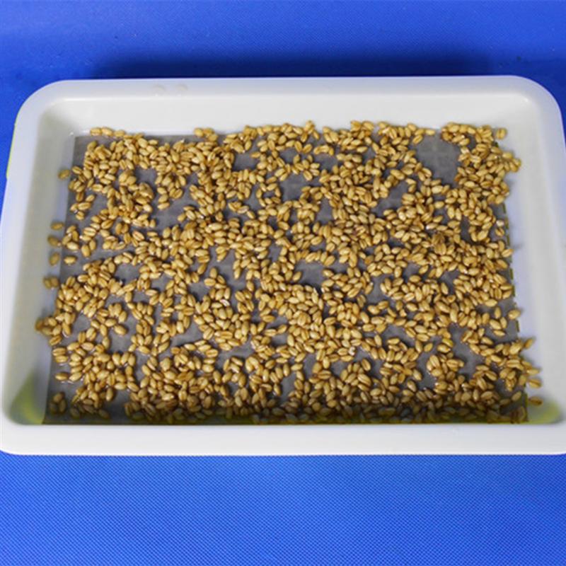 150pcs Seedling Plants Nursery Paper Germinating Paper Garden Planting Sprout Vegetable Plant Growing Paper