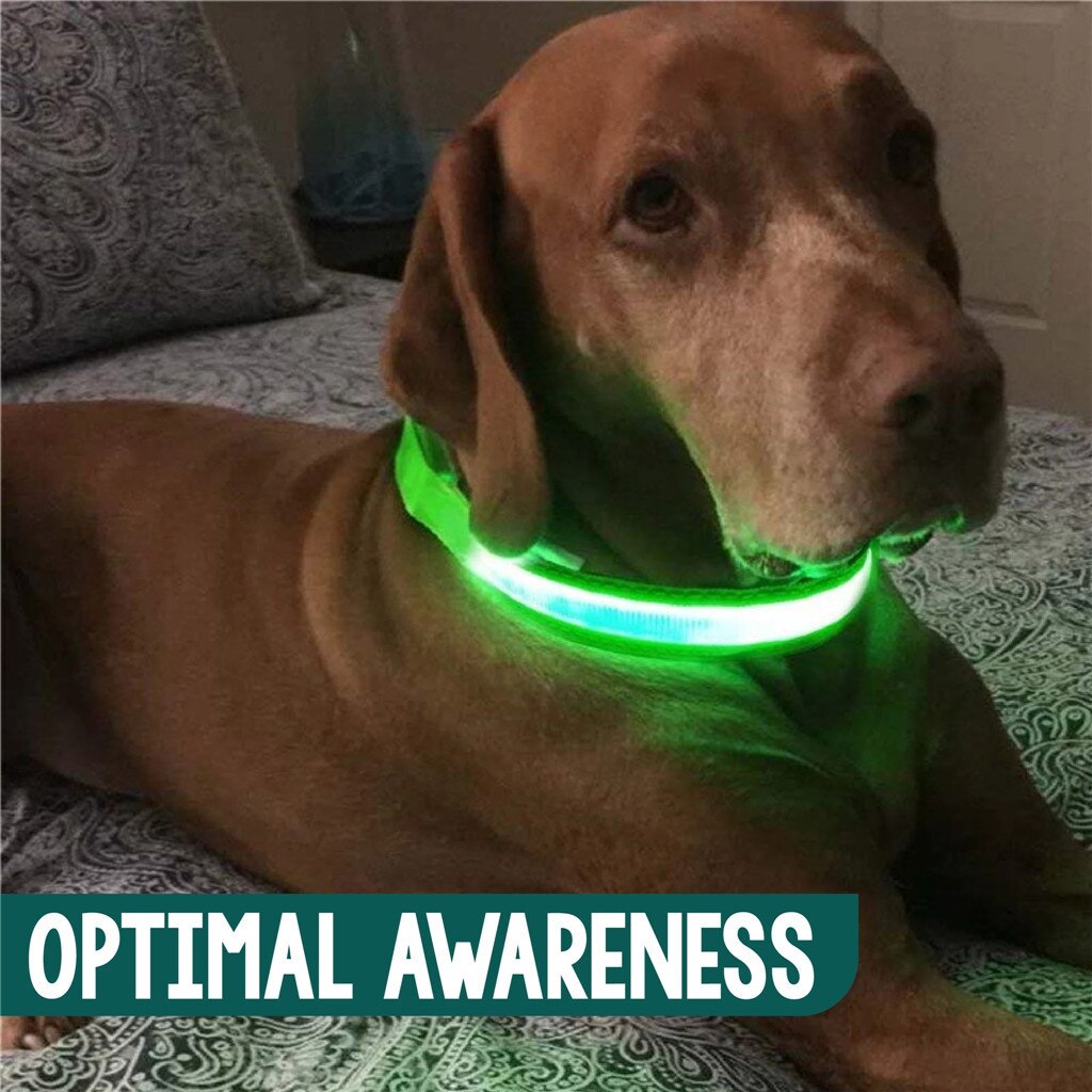 Collar Led para mascotas, de estilo camuflaje, con luz brillante, hebilla de patrones, Collar de seguridad ajustable, productos para mascotas LED # p2